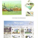 Birds and their Habitats